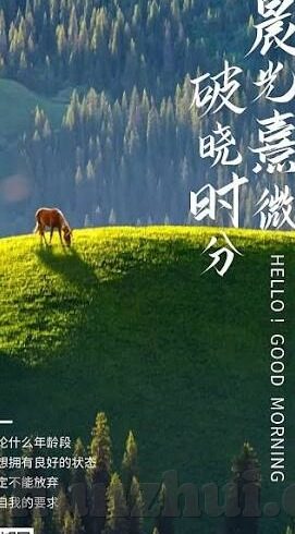 韩国伦理电影妻子的的视频在线观看-韩国伦理电影，探索妻子的视频的复杂情感与人性深度