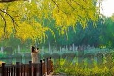麻豆精选2021短视频-麻豆精选，2021短视频的创意与魅力